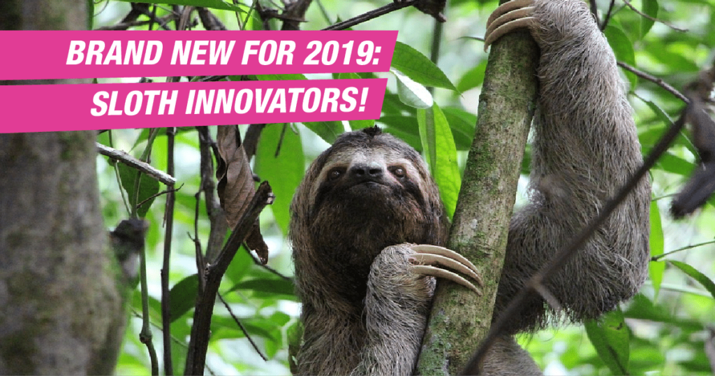 Brand new for 2019: Sloth Innovators!