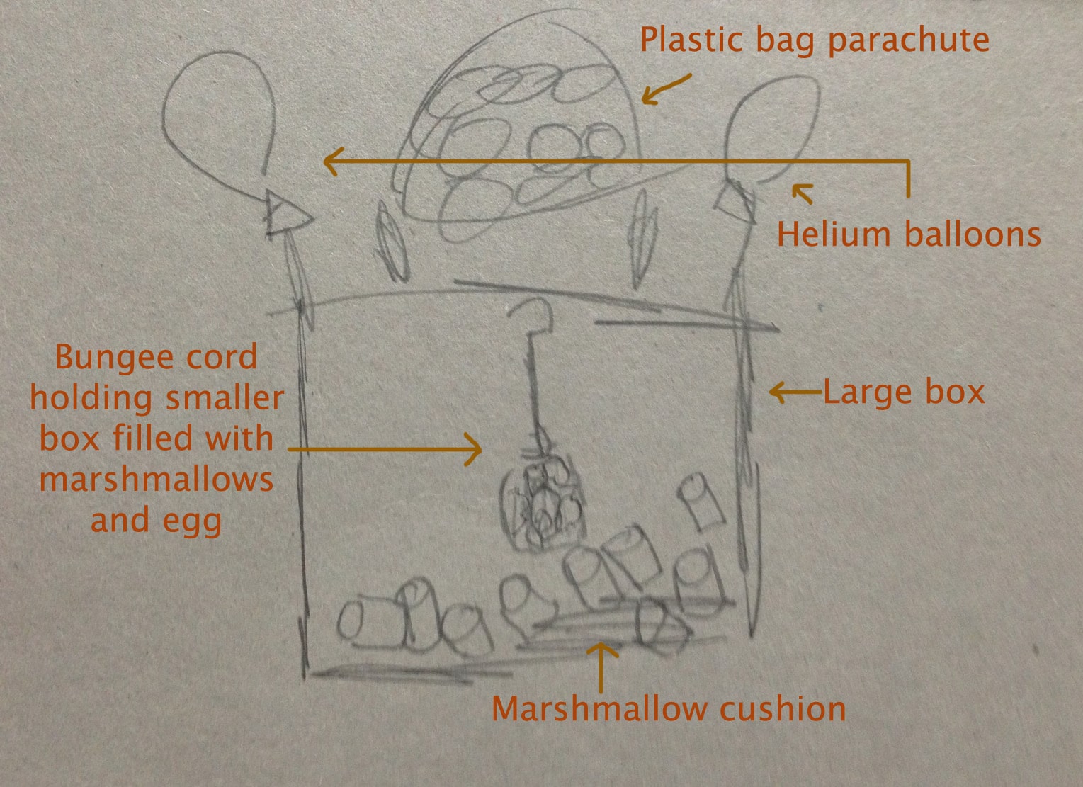 Egg drop diagram